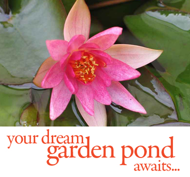 dream-pond