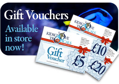 Gift Vouchers available in store