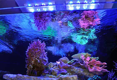 marine-lighting